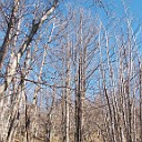DSCN0644