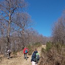 DSCN0650