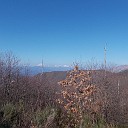 DSCN0654