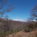 DSCN0661