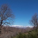 DSCN0665
