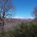 DSCN0666