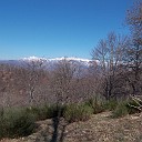 DSCN0669