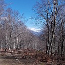 DSCN0677