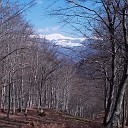 DSCN0678