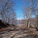 DSCN0679