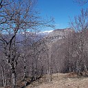 DSCN0681