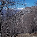 DSCN0682