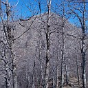 DSCN0683