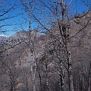 DSCN0684