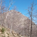 DSCN0690