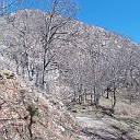 DSCN0691