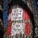 DSCN0693