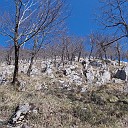 DSCN0694