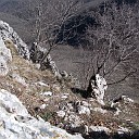 DSCN0715