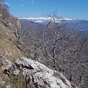 DSCN0718