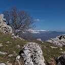 DSCN0749