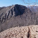 DSCN0785