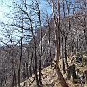 DSCN0788
