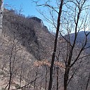 DSCN0789