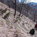 DSCN0791