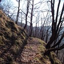 DSCN0796