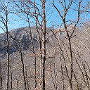 DSCN0797