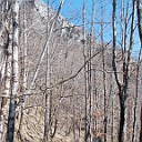 DSCN0799
