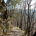 DSCN0802