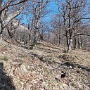 DSCN0804