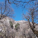 DSCN0805