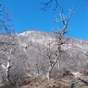 DSCN0807