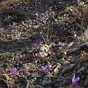 DSCN0809