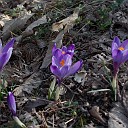 DSCN0811