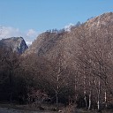 DSCN0821