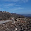 DSCN0829