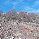 DSCN0843