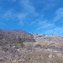 DSCN0844