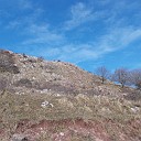 DSCN0845