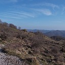 DSCN0847