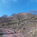 DSCN0853