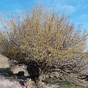 DSCN0854
