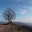 DSCN0859