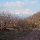 DSCN0862