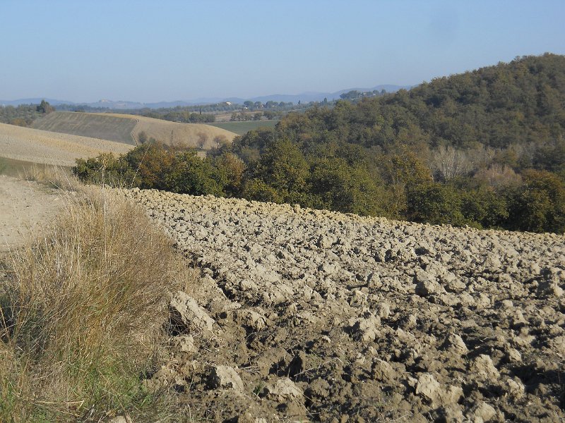 DSCN9538.JPG