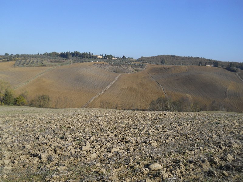 DSCN9572.JPG