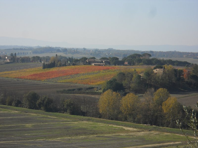 DSCN9626.JPG
