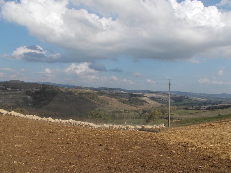 DSCN4039.JPG