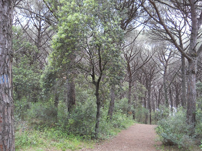 DSCN1967.JPG
