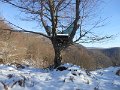 DSCN0155